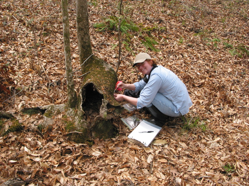 fieldwork
